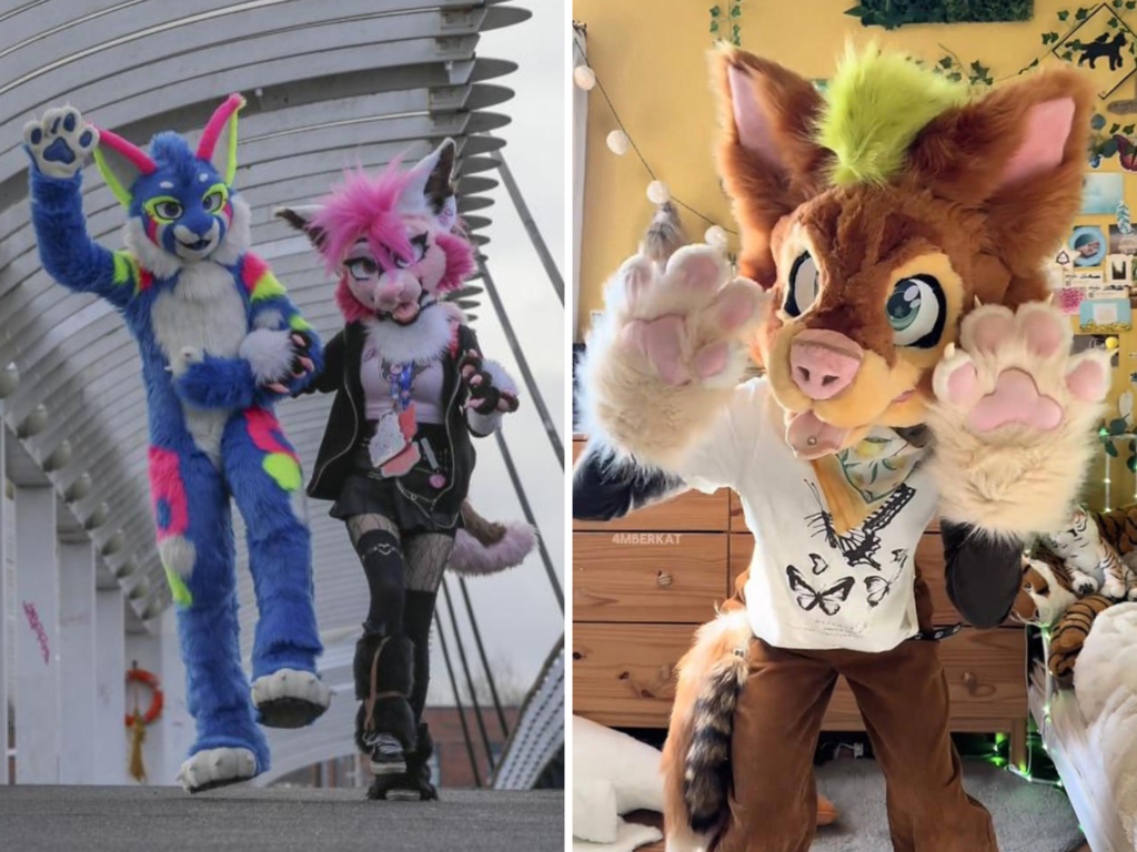 highcliffe school animal identity claims