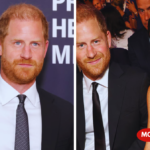 meghan and harry news