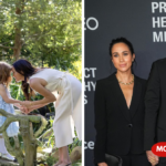 harry and megan news