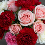 Carnations for Valentine’s Day School Fundraisers: Affordable Ideas That Work